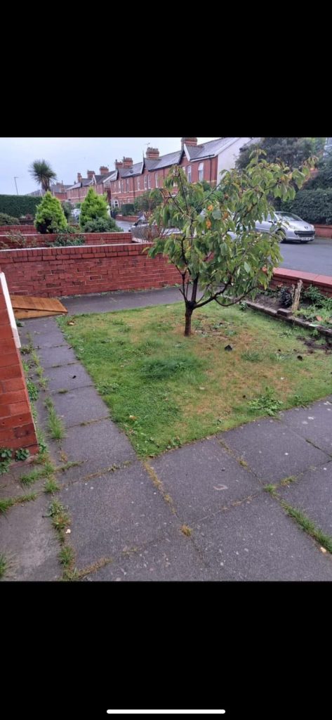 Old Driveway