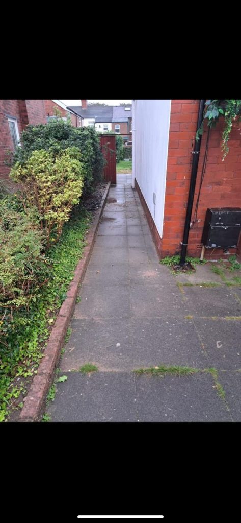 Damaged Pathway